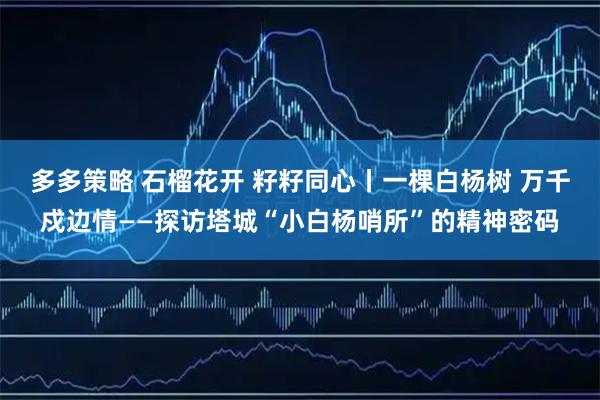 多多策略 石榴花开 籽籽同心丨一棵白杨树 万千戍边情——探访塔城“小白杨哨所”的精神密码