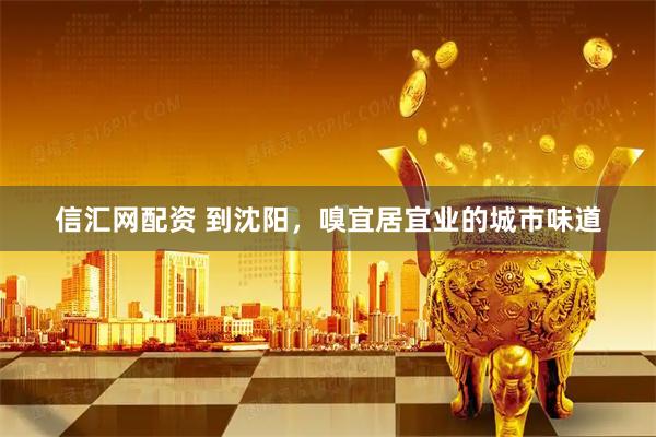 信汇网配资 到沈阳，嗅宜居宜业的城市味道