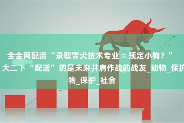 全金网配资 “录取警犬技术专业 = 预定小狗？” 别急，大二下 “配送” 的是未来并肩作战的战友_动物_保护_社会